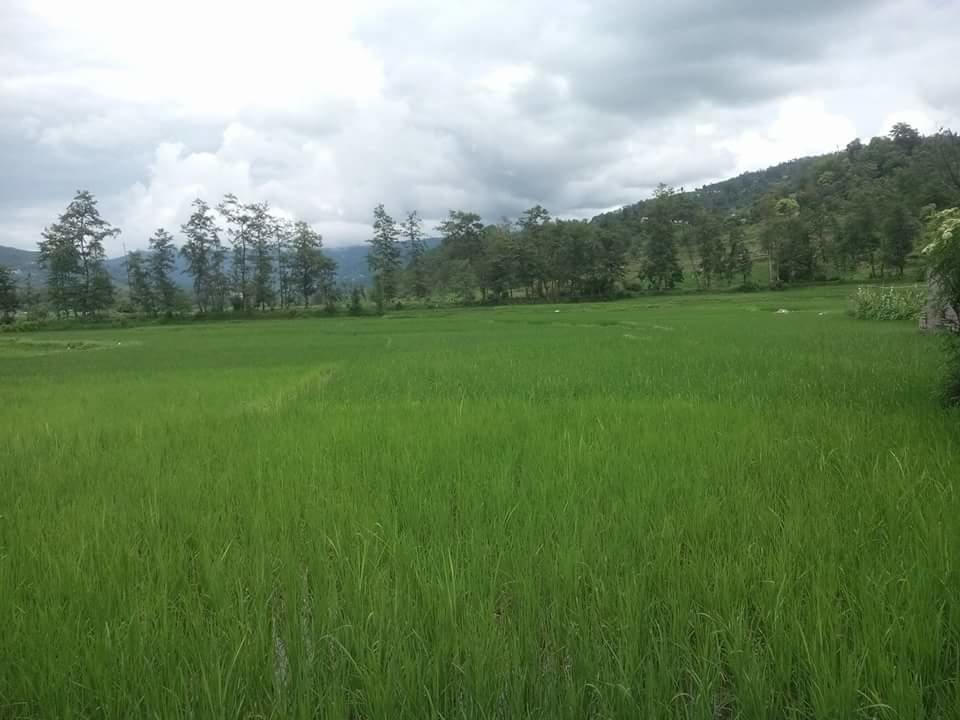 Changu Newa Homestay Bhatgoan Exterior photo