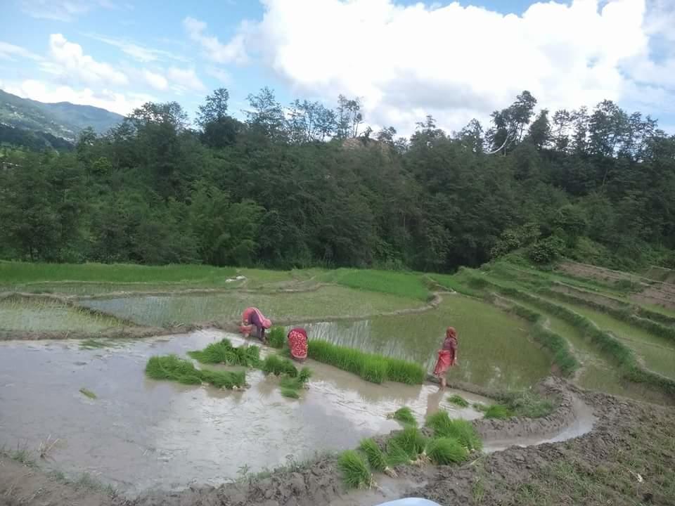 Changu Newa Homestay Bhatgoan Exterior photo